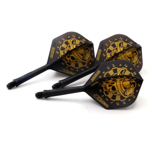 CUESOUL AK5 ROST | SKULL ON DARTBOARD | INTEGRATED