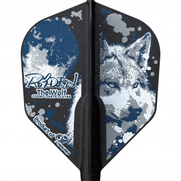 COSMO FIT FLIGHT ROYDEN LAM 4