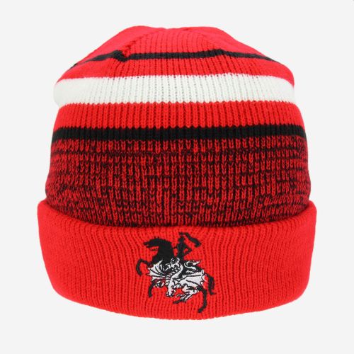 NRL CLUSTER BEANIE