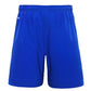 DYNASTY SAMOA TOA RL MENS GYM SHORT 2023