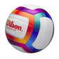 WILSON BEACH SHORELINE VOLLEYBALL
